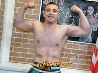 CarlitoBoxer