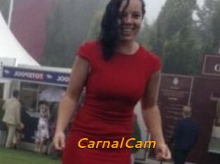 CarnalCam