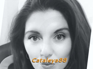 Cataleya88