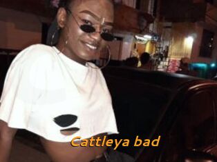 Cattleya_bad