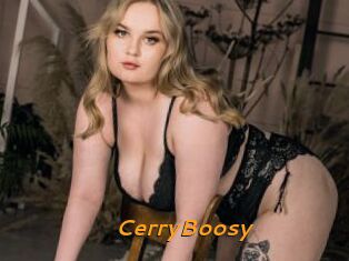 CerryBoosy