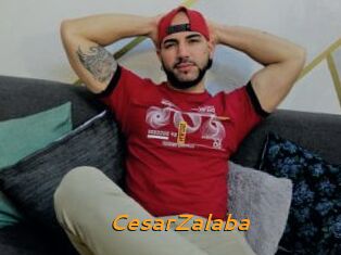 CesarZalaba