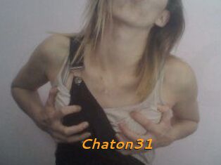 Chaton31