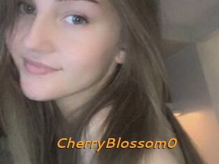 CherryBlossom0