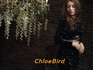 ChloeBird