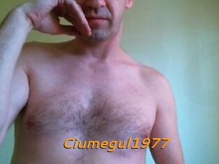 Ciumegul1977