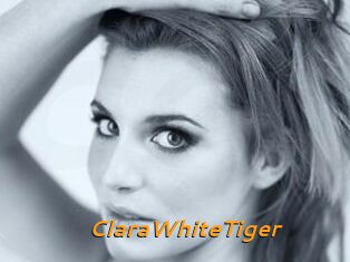 ClaraWhiteTiger