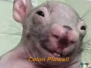 Colon_Plowell