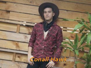 Conall_Hawk