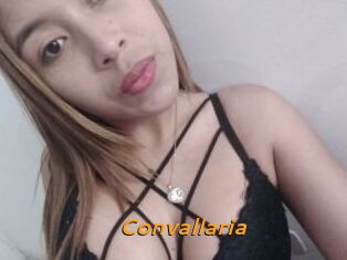 Convallaria