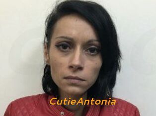 CutieAntonia