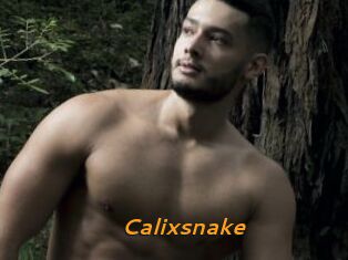 Calixsnake