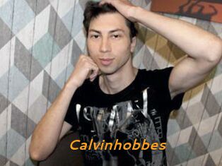 Calvinhobbes