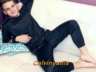 Calvinyanis