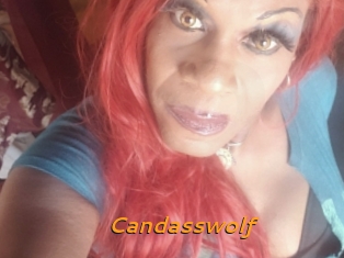 Candasswolf
