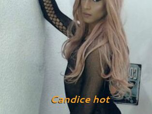 Candice_hot