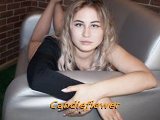 Candieflower