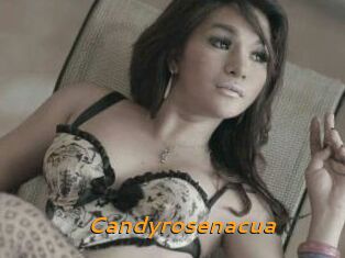 Candyrosenacua