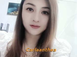 Carlaanthea
