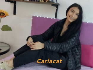Carlacat