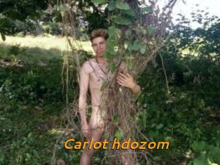 Carlot_hdozom
