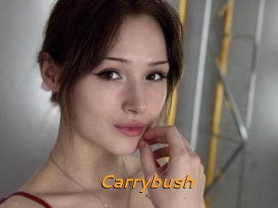 Carrybush