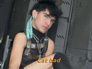Cat_bad