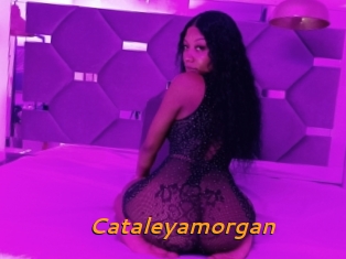 Cataleyamorgan