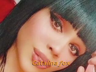 Catalina_fox