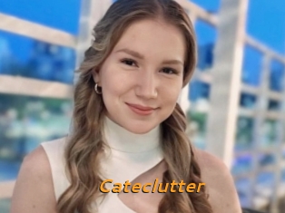 Cateclutter