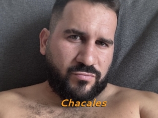 Chacales