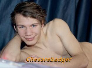 Chesarebadger
