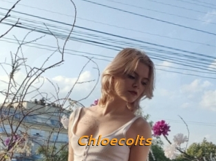 Chloecolts