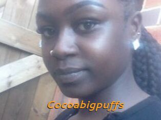 Cocoabigpuffs