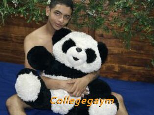 Collegegaym