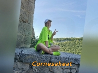 Cornesakeat