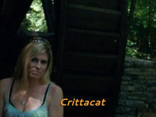 Crittacat