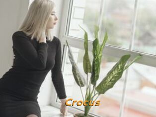 Crocus