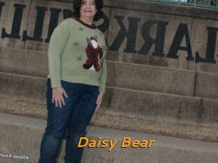 Daisy_Bear