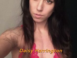 Daisy_Harrington