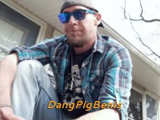 DangPigBenis