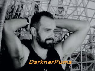 DarknerPuma