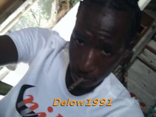 Delow1991