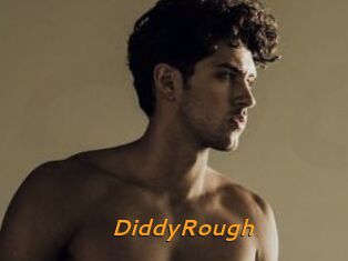 DiddyRough