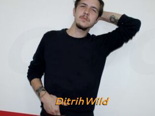 DitrihWild