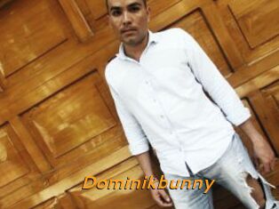 Dominikbunny