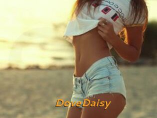 DoveDaisy