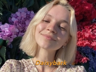 Daisybark
