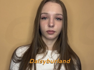 Daisyburland