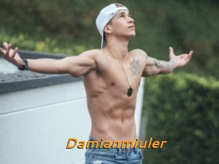 Damianmiuler